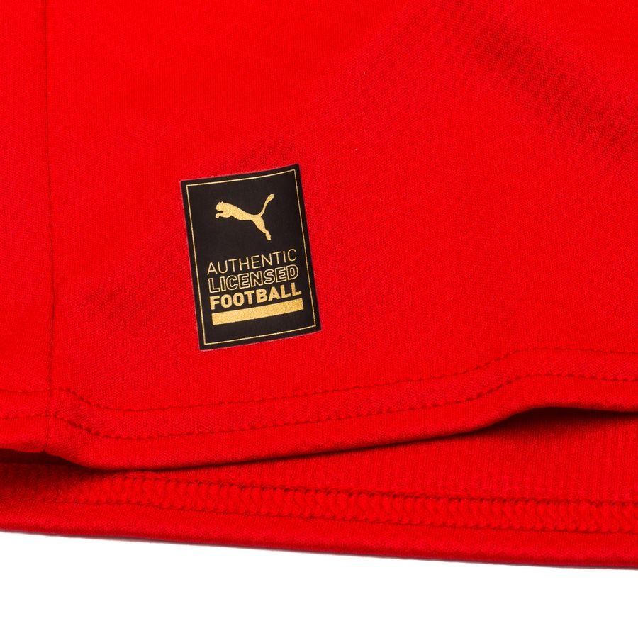 PUMA Mens Austria Home Jersey 22 Red White