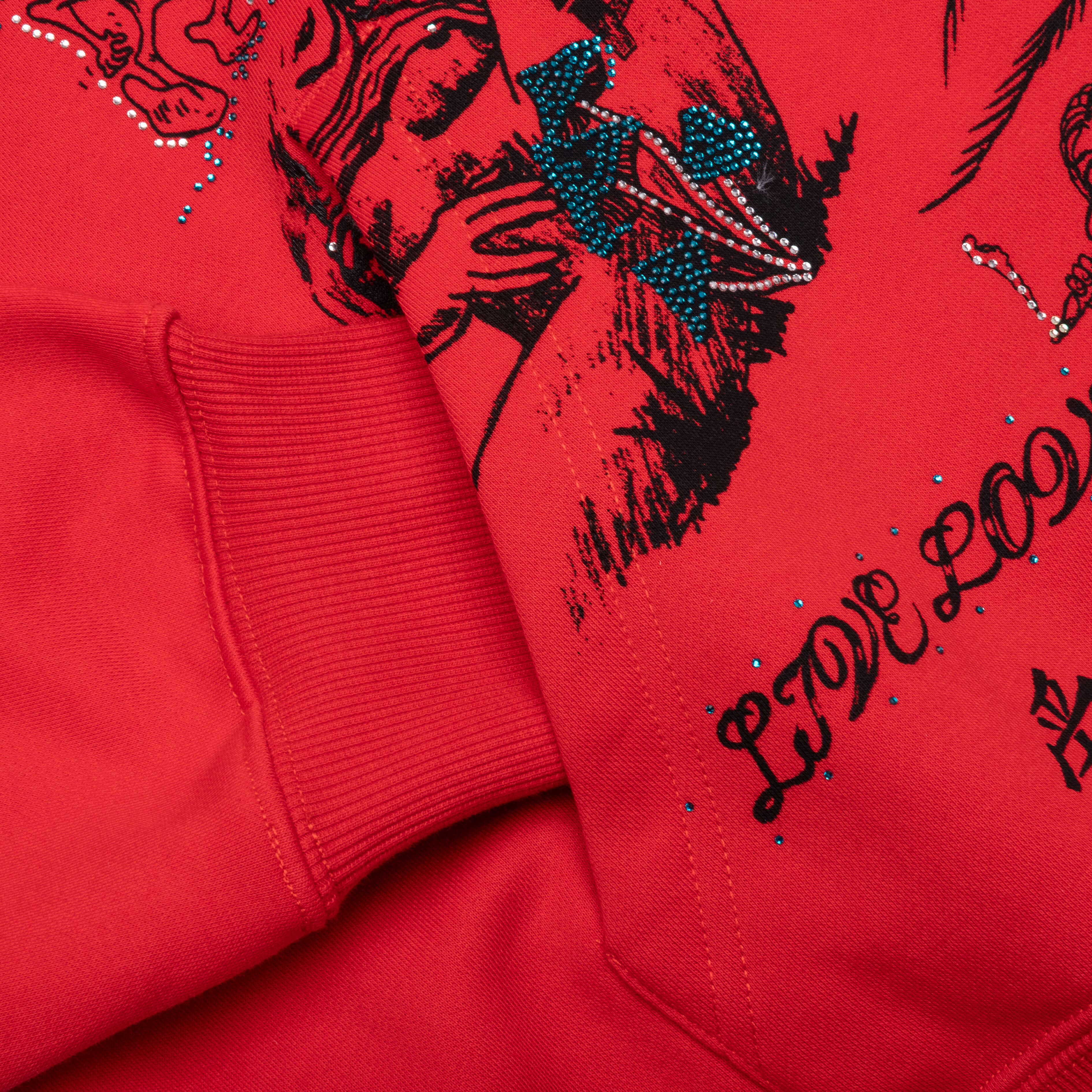 Find Truth Hoodie Red