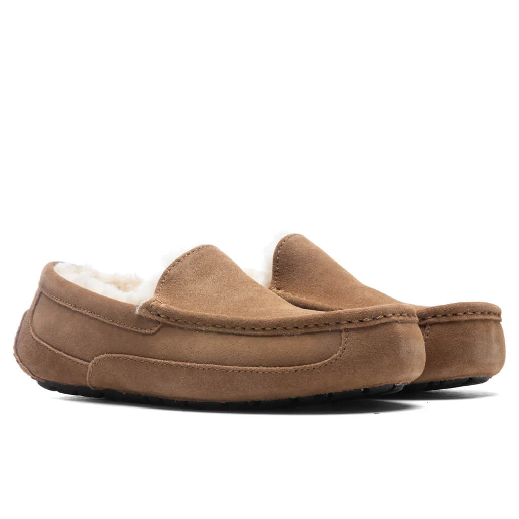 Ascot Slipper Chestnut