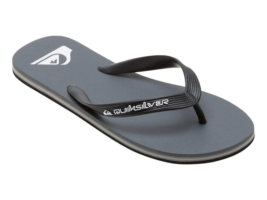 Sandalias Quiksilver Molokai Core Gris para Hombre