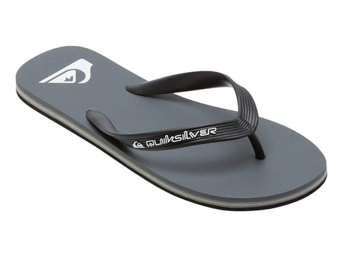 Sandalias Quiksilver Molokai Core Gris para Hombre