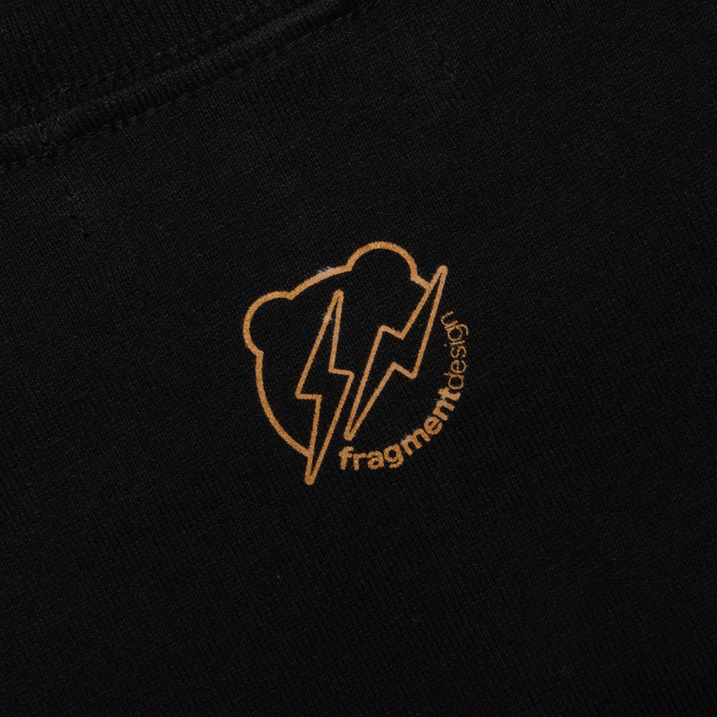 Medicom Toy x fragment design Fur Logo BERTEE Black