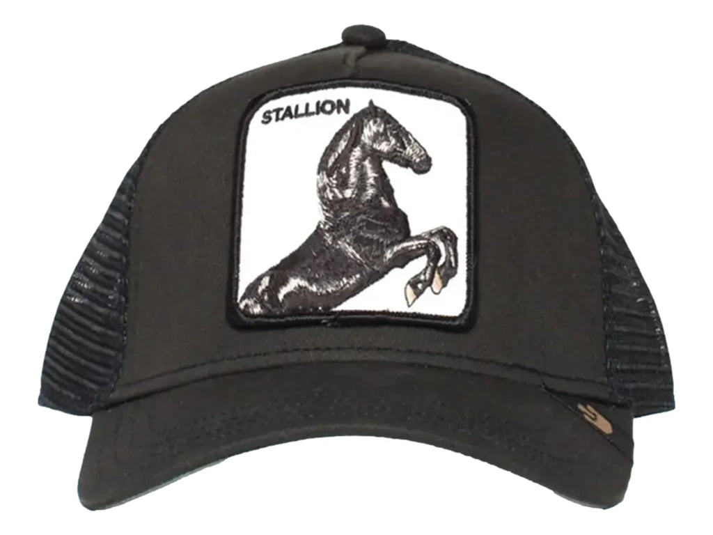 Gorra Goorin Bros The Stallion Color Negro