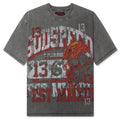 Seeing Double T Shirt Grey Wash